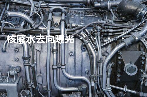 核廢水去向曝光！真相何在？